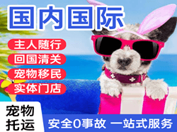 怀化芷江机场货运国际宠物托运 【国